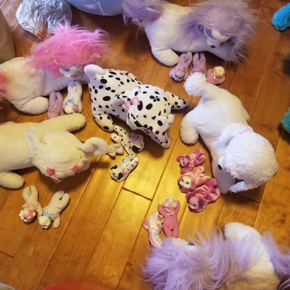 Puppy Surprise lot of 6 mamas 15 puppies